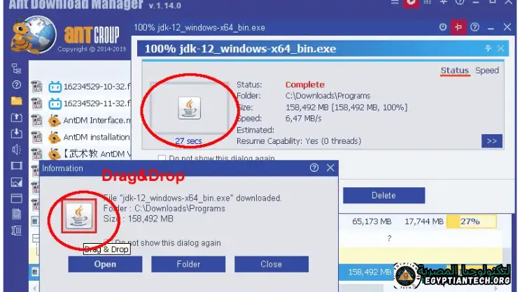 برنامج Ant Download Manager Pro