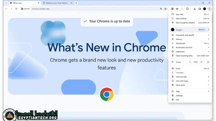 تحميل برنامج Google Chrome Portable