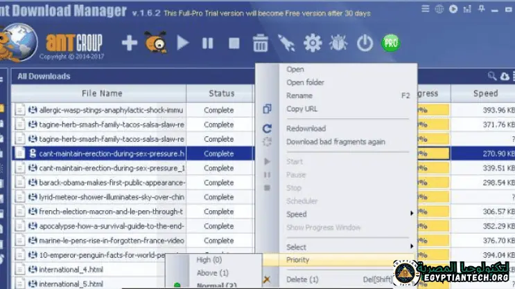 Ant Download Manager Pro Portable