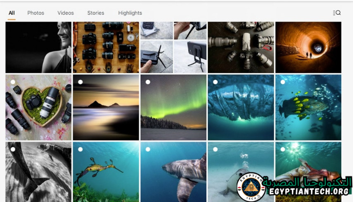 برنامج 4K Stogram