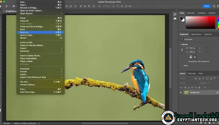 مساحة عمل Adobe Photoshop تعرض أدوات التحرير والطبقات والقماش للتصميم الجرافيكي والتلاعب بالصور