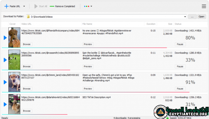 برنامج TikTok Downloader