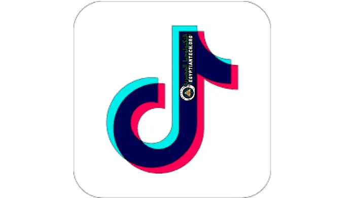 برنامج TikTok Downloader