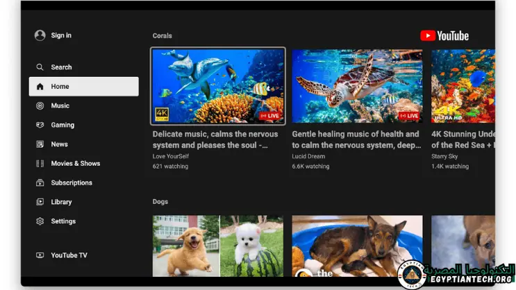 تنزيل برنامج youtube downloader للكمبيوتر​
