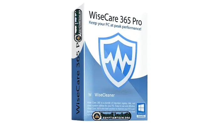 Crack Wise Care 365 Pro