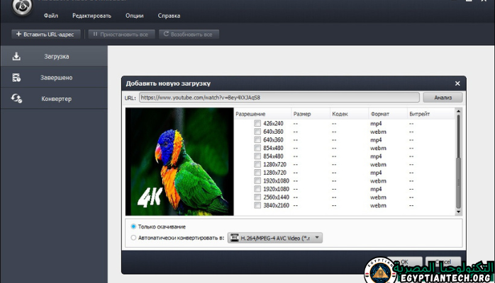 Aiseesoft Video Downloader