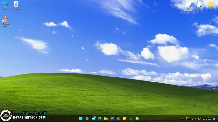 واجهة المستخدم لتنزيل Windows XP، تعرض خيارات التثبيت وتقدم التنزيل