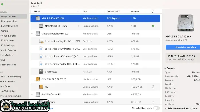 Disk Drill Pro Egyptian