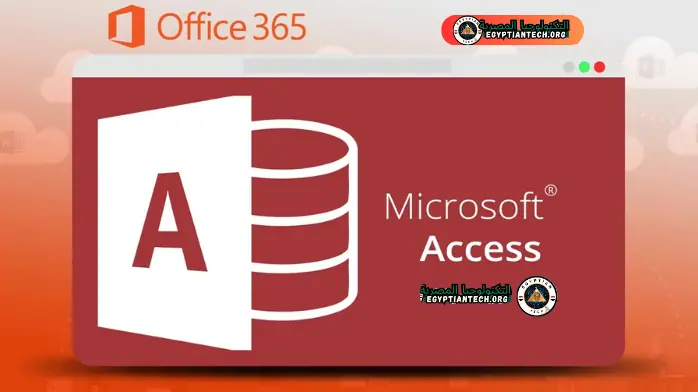 office 365 4