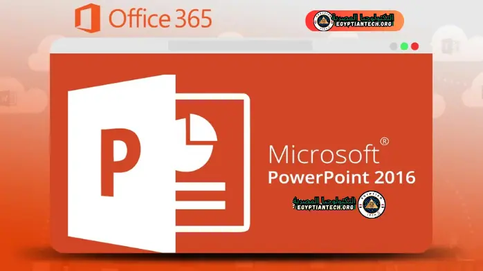 office 365 5