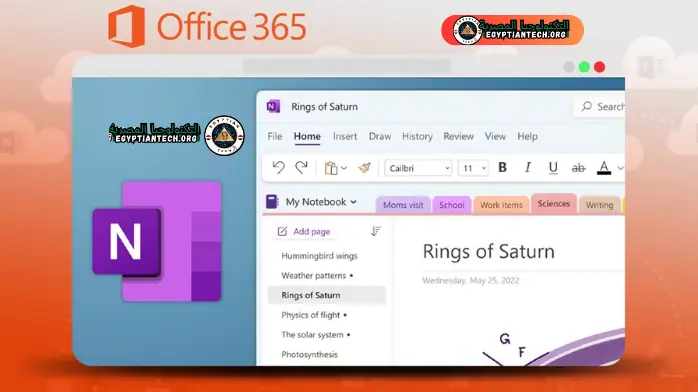 office 365 7